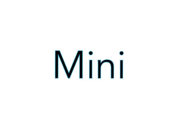 Mini